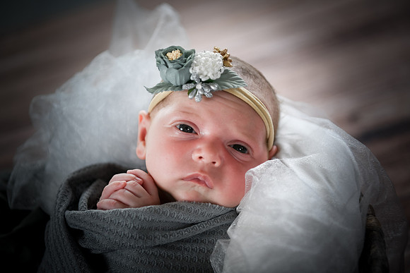 Jade [newborn] 117