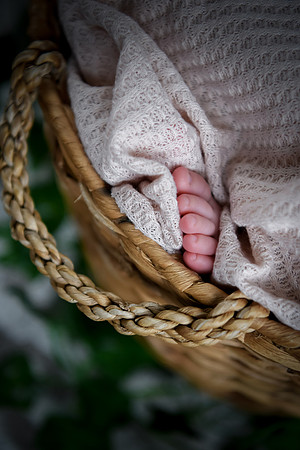 Jade [newborn] 142