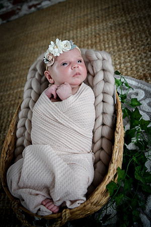 Jade [newborn] 146