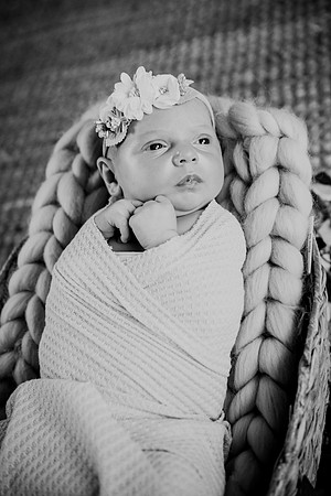 Jade [newborn] 147