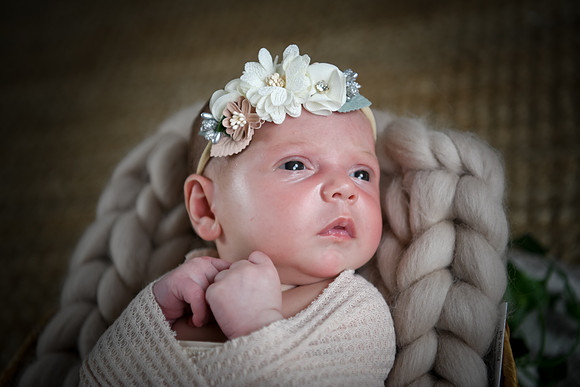 Jade [newborn] 148
