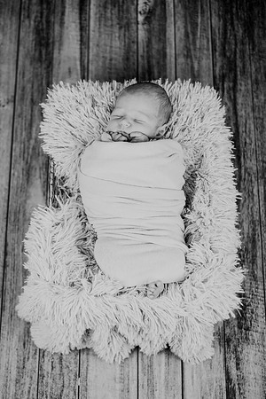 Noah Newborn 002