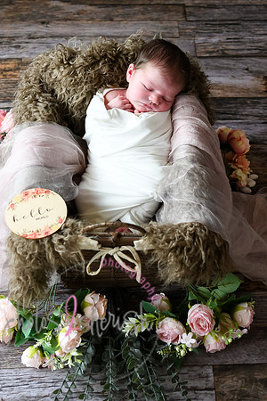 Alivia newborn 002
