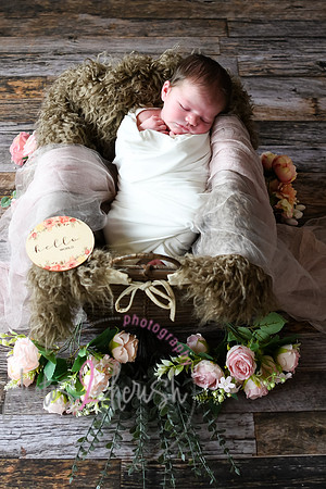 Alivia newborn 003