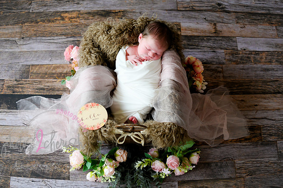 Alivia newborn 014