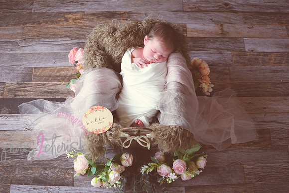 Alivia newborn 015