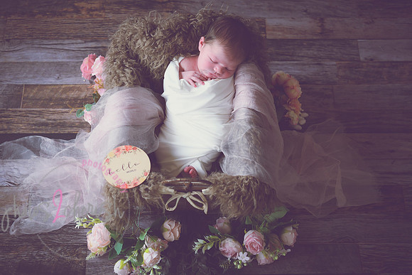 Alivia newborn 016