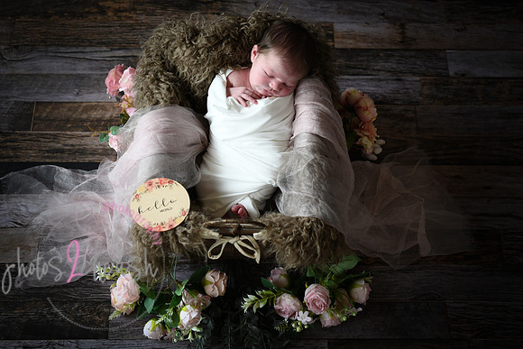 Alivia newborn 017