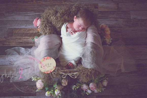 Alivia newborn 018