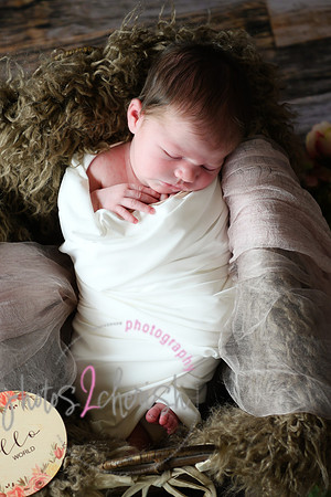 Alivia newborn 024