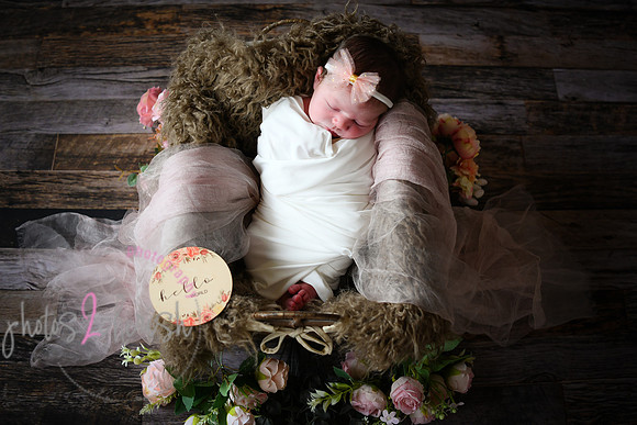 Alivia newborn 029