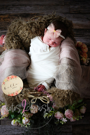 Alivia newborn 030