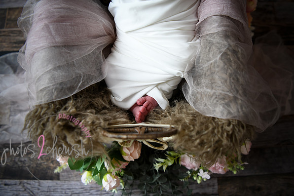 Alivia newborn 035