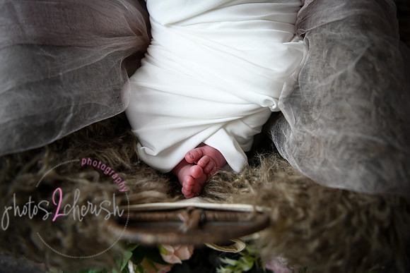 Alivia newborn 036