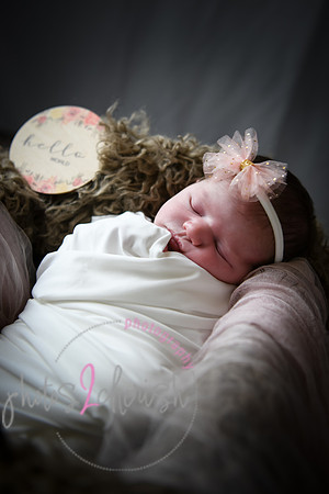 Alivia newborn 038