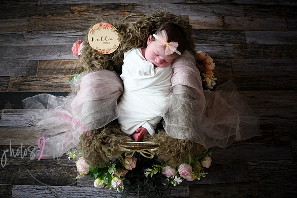 Alivia newborn 037