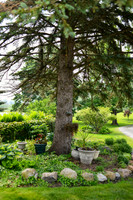 Carter & Marlah Wedding Photos [grounds] 004