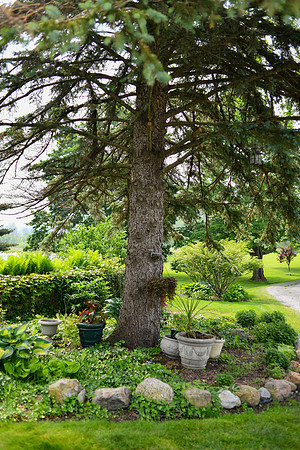 Carter & Marlah Wedding Photos [grounds] 004