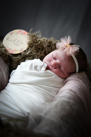 Alivia newborn 038