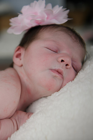 Alivia newborn 061