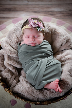 Alivia newborn 109