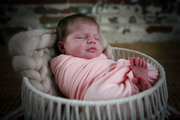 Alivia newborn 133