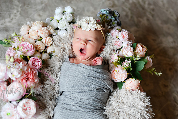 Amelia [newborn] images 028