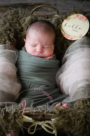 Arden [proofs]  004