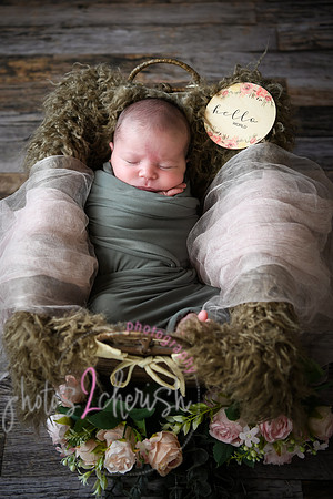 Arden [proofs]  009