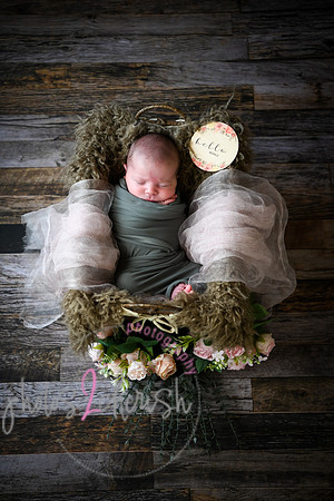 Arden [proofs]  010