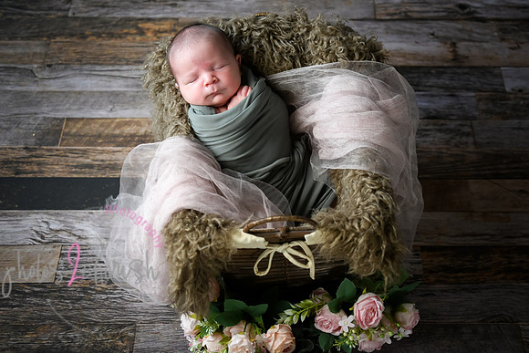 Arden [proofs]  013