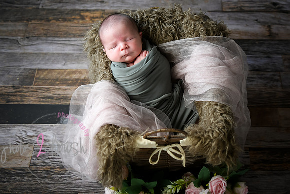 Arden [proofs]  015