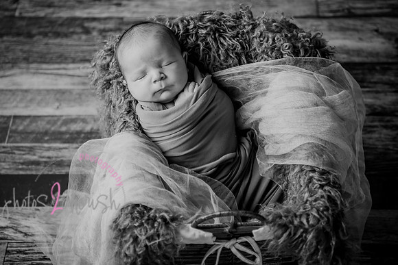 Arden [proofs]  016