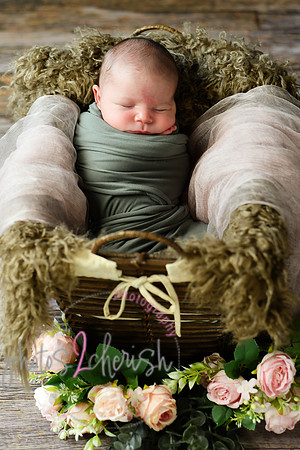 Arden [proofs]  021