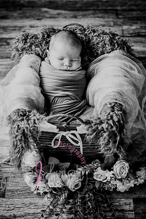 Arden [proofs]  022