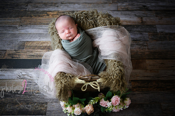Arden [proofs]  023