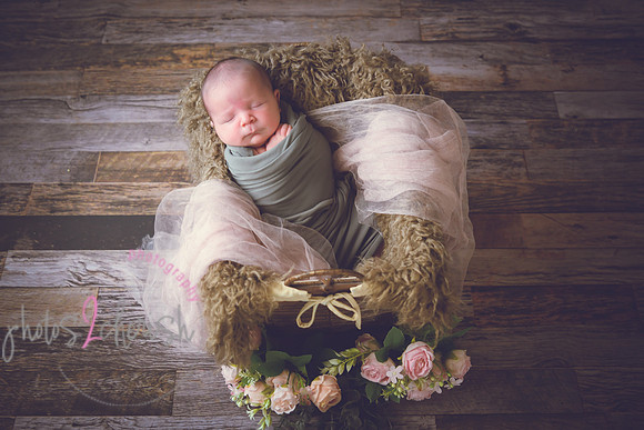 Arden [proofs]  024