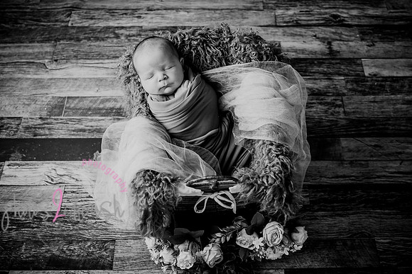 Arden [proofs]  025