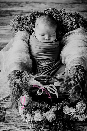 Arden [proofs]  026