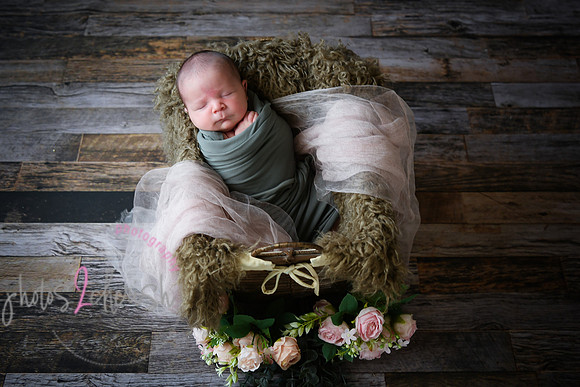 Arden [proofs]  027