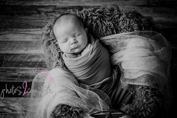 Arden [proofs]  028