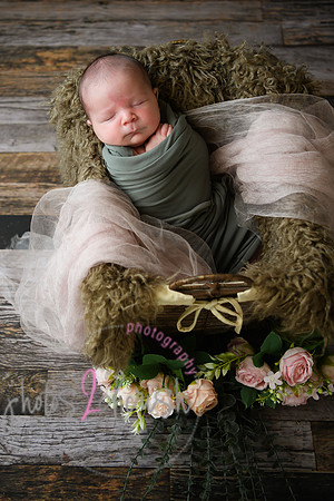 Arden [proofs]  031