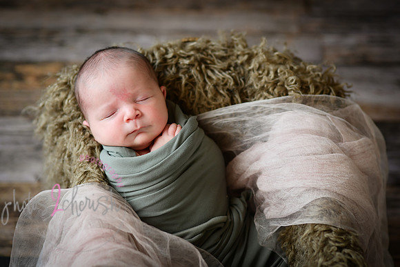 Arden [proofs]  034