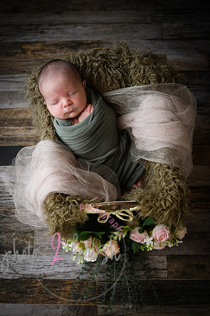 Arden [proofs]  035