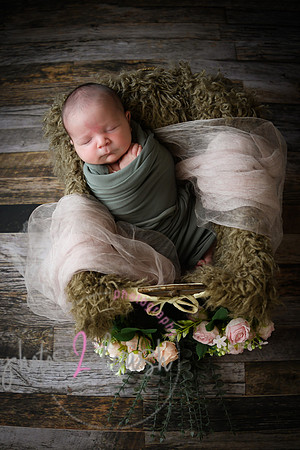 Arden [proofs]  037