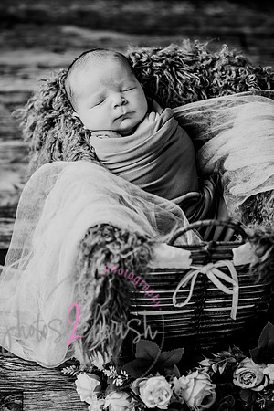 Arden [proofs]  038
