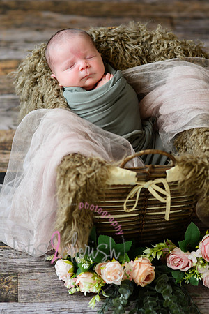 Arden [proofs]  039