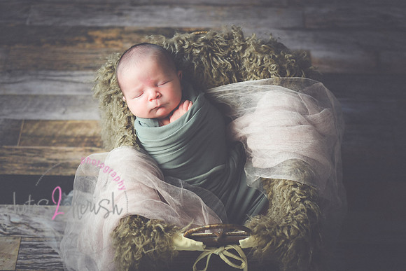 Arden [proofs]  041