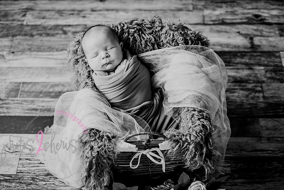 Arden [proofs]  043