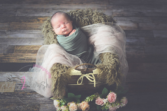 Arden [proofs]  044